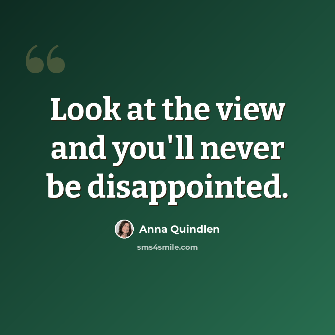 “Look at the view and you'll never be disappointed.” quote by Anna Quindlen