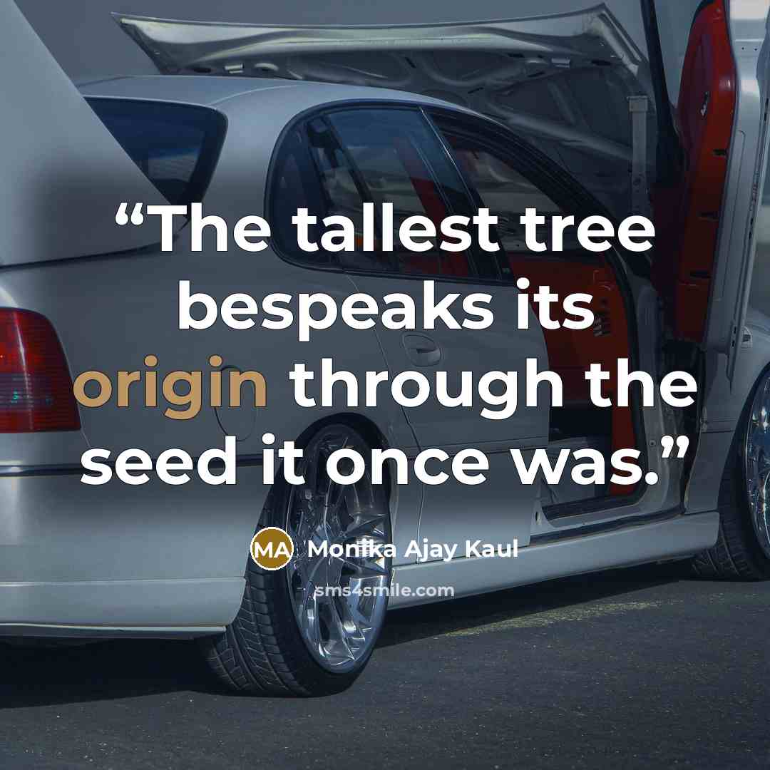 “The tallest tree bespeaks its origin through the seed it once was.” quote by Monika Ajay Kaul