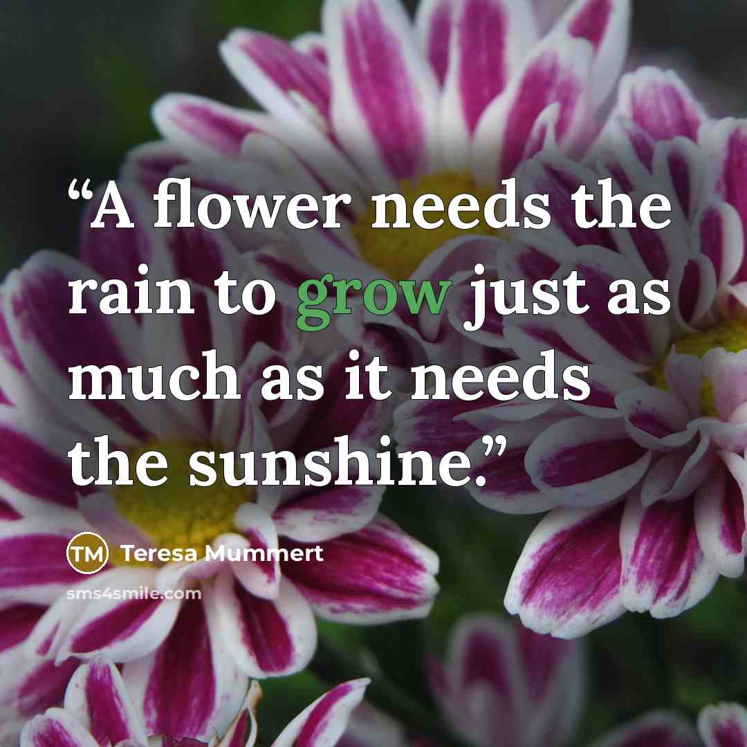 “A flower needs the rain to grow just as much as it needs the sunshine.” quote by Teresa Mummert