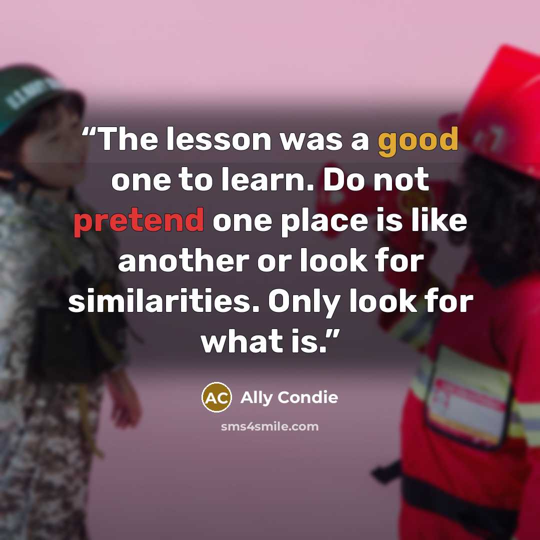 “The lesson was a good one to learn. Do not pretend one place is like another or look for similarities. Only look for what is.” quote by Ally Condie