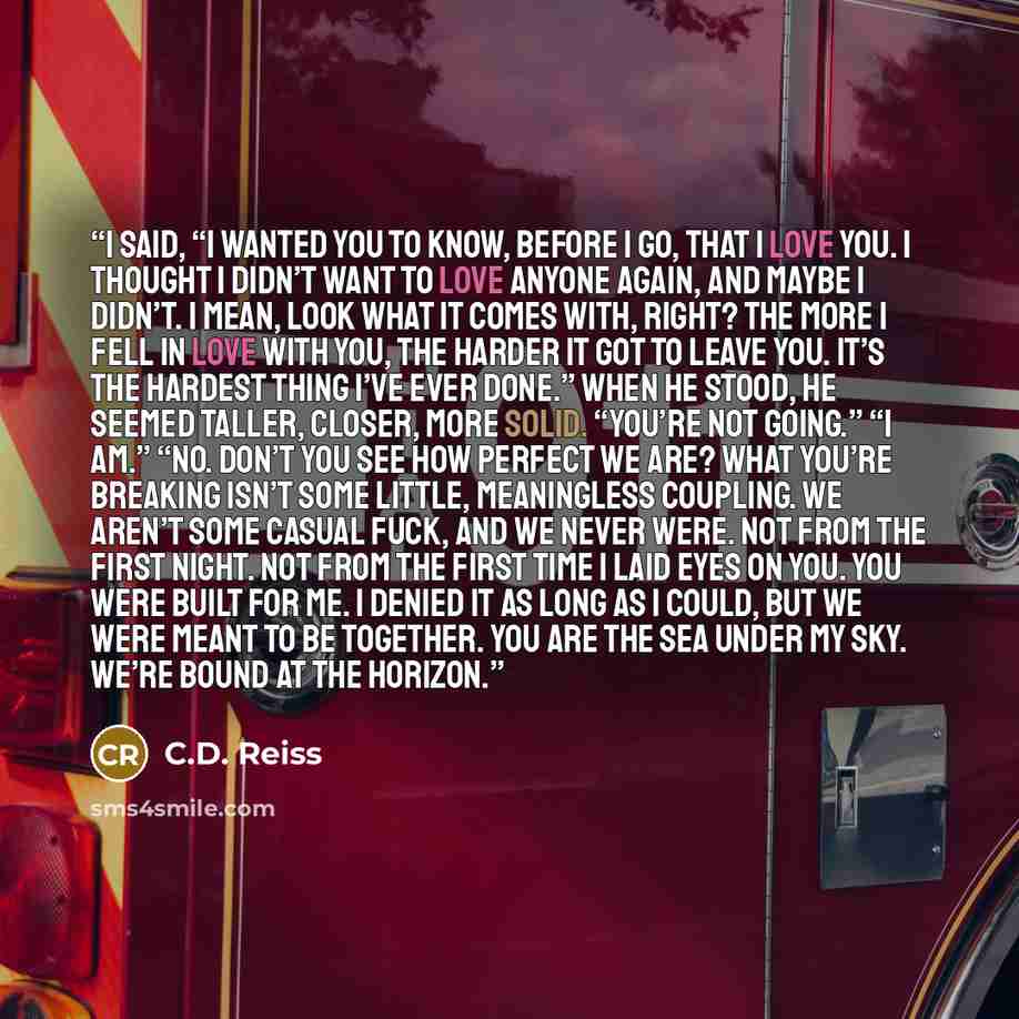 “I said, “I wanted you to know, before I go, that I love you. I thought I didn’t want to love anyone again, and maybe I didn’t. I mean, look what it comes with, right? The more I fell in love with you, the harder it got to leave you. It’s the hardest thing I’ve ever done.” When he stood, he seemed…” quote by C.D. Reiss