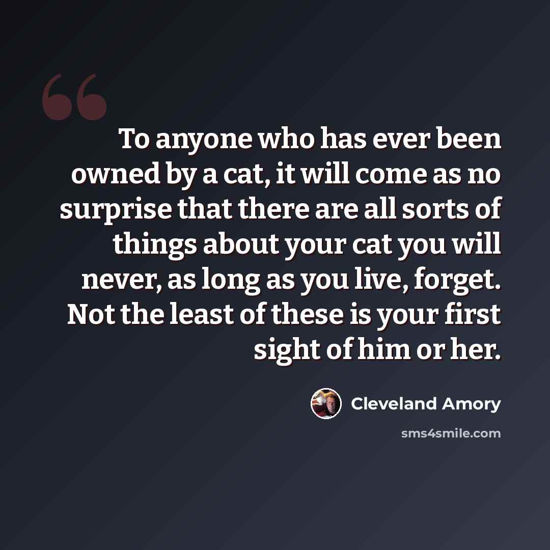 “To anyone who has ever been owned by a cat, it will come as no surprise that there are all sorts of things about your cat you will never, as long as you live, forget. Not the least of these is your first sight of him or her.” quote by Cleveland Amory