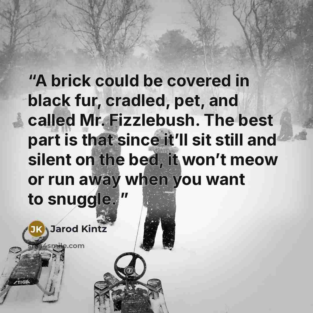“A brick could be covered in black fur, cradled, pet, and called Mr. Fizzlebush. The best part is that since it’ll sit still and silent on the bed, it won’t meow or run away when you want to snuggle.” quote by Jarod Kintz