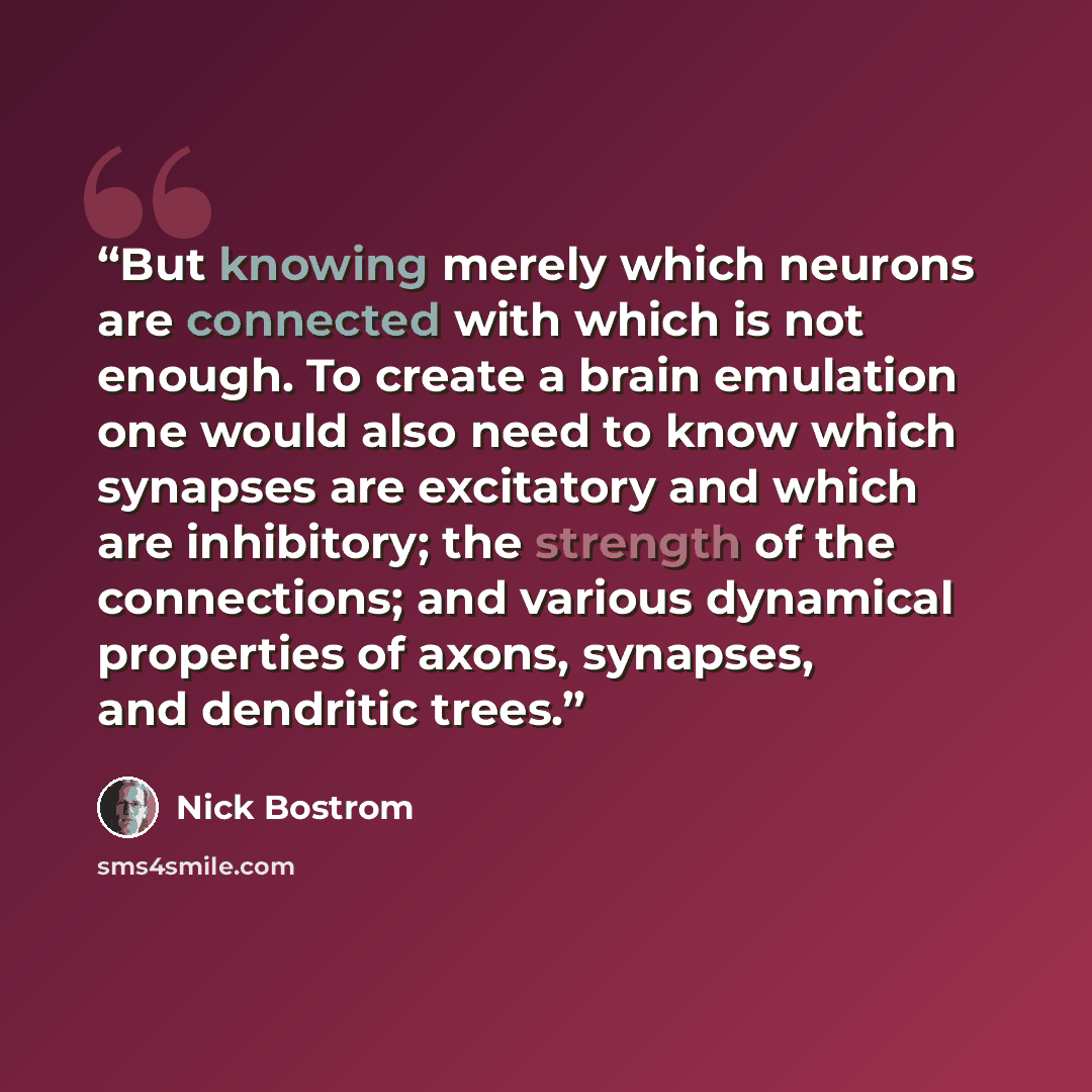 “But knowing merely which neurons are connected with which is not enough. To create a brain emulation one would also need to know which synapses are excitatory and which are inhibitory; the strength of the connections; and various dynamical properties of axons, synapses, and dendritic trees.” quote by Nick Bostrom