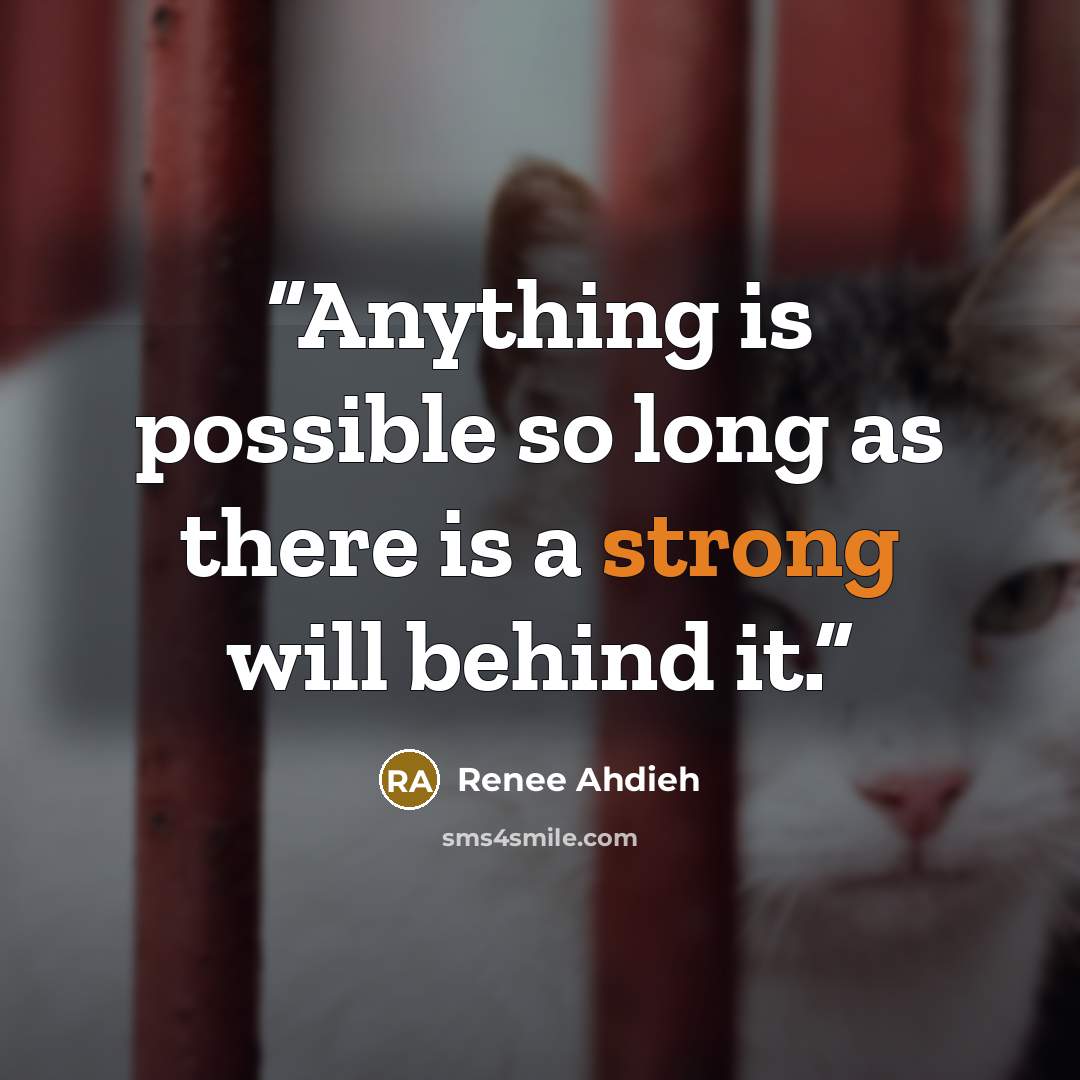 “Anything is possible so long as there is a strong will behind it.” quote by Renee Ahdieh