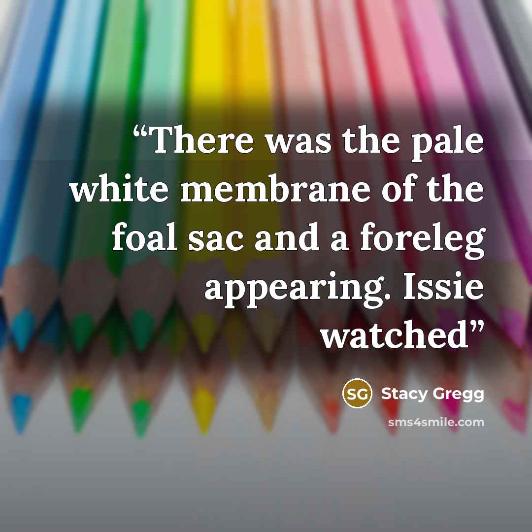 “There was the pale white membrane of the foal sac and a foreleg appearing. Issie watched” quote by Stacy Gregg
