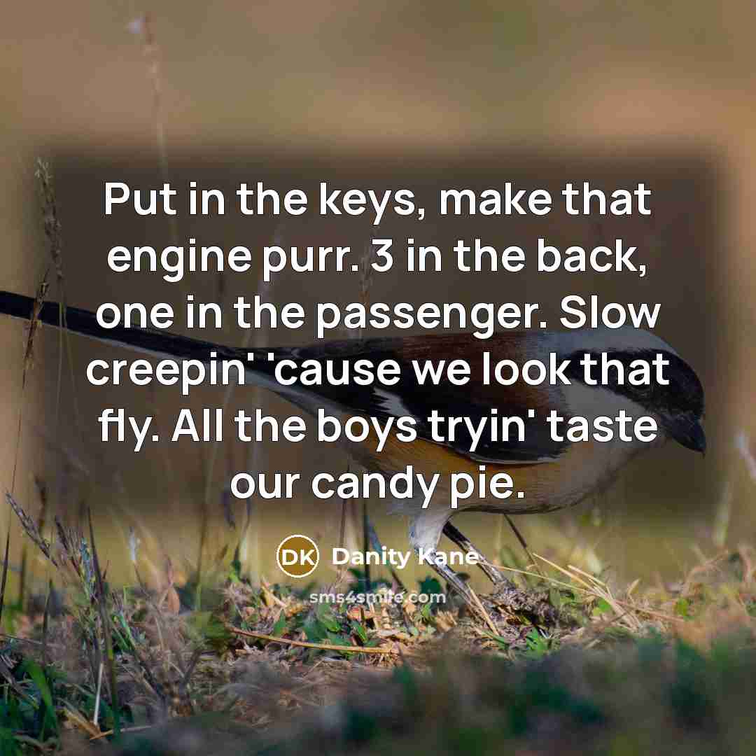 “Put in the keys, make that engine purr. 3 in the back, one in the passenger. Slow creepin' 'cause we look that fly. All the boys tryin' taste our candy pie.” quote by Danity Kane
