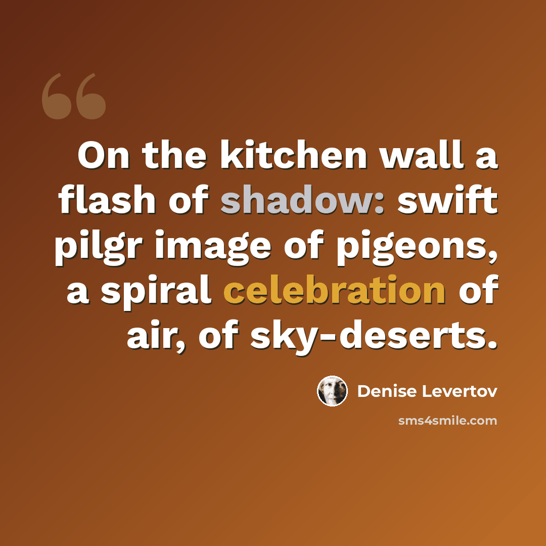 “On the kitchen wall a flash of shadow: swift pilgr image of pigeons, a spiral celebration of air, of sky-deserts.” quote by Denise Levertov