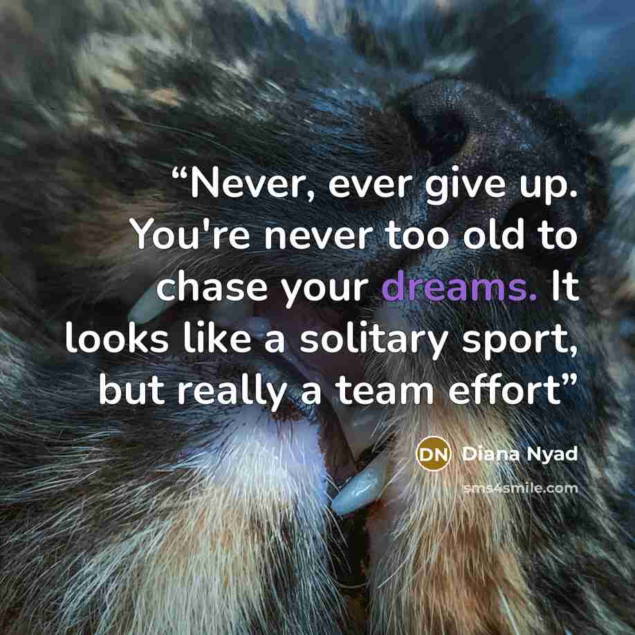 “Never, ever give up. You're never too old to chase your dreams. It looks like a solitary sport, but really a team effort” quote by Diana Nyad