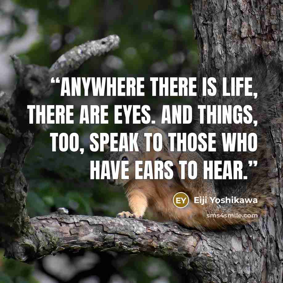 “Anywhere there is life, there are eyes. And things, too, speak to those who have ears to hear.” quote by Eiji Yoshikawa