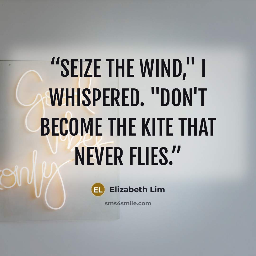 “Seize the wind," I whispered. "Don't become the kite that never flies.” quote by Elizabeth Lim