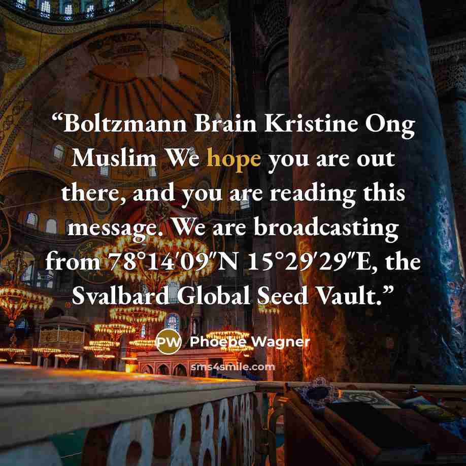 “Boltzmann Brain Kristine Ong Muslim We hope you are out there, and you are reading this message. We are broadcasting from 78°14′09″N 15°29′29″E, the Svalbard Global Seed Vault.” quote by Phoebe Wagner