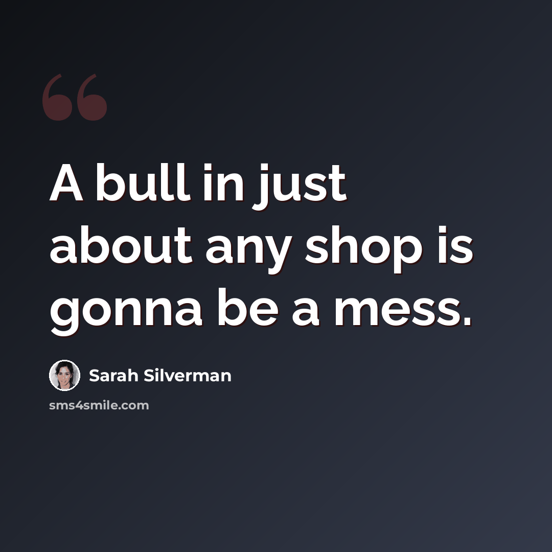 “A bull in just about any shop is gonna be a mess.” quote by Sarah Silverman