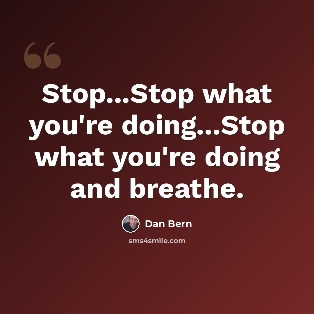 “Stop...Stop what you're doing...Stop what you're doing and breathe.” quote by Dan Bern