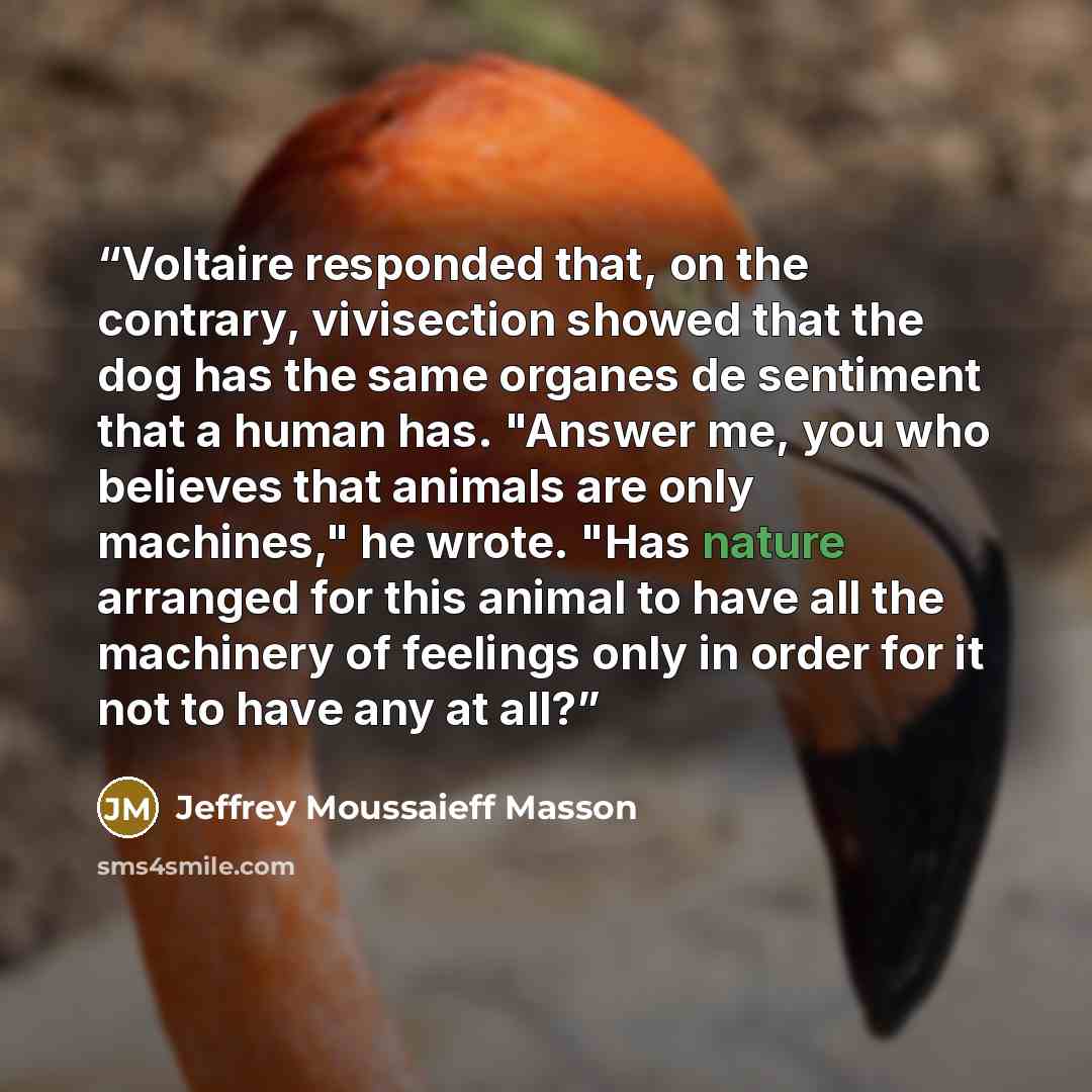 “Voltaire responded that, on the contrary, vivisection showed that the dog has the same organes de sentiment that a human has. "Answer me, you who believes that animals are only machines," he wrote. "Has nature arranged for this animal to have all the machinery of feelings only in order for it not…” quote by Jeffrey Moussaieff Masson