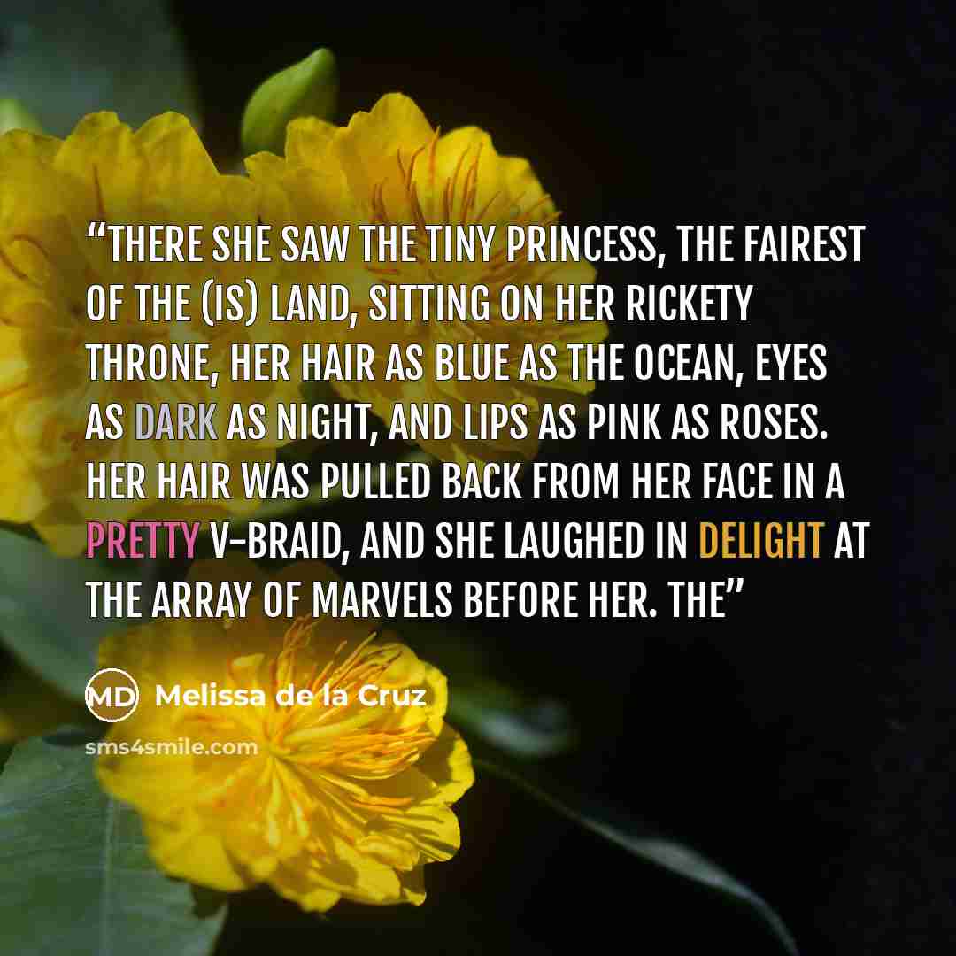 “There she saw the tiny princess, the fairest of the (is) land, sitting on her rickety throne, her hair as blue as the ocean, eyes as dark as night, and lips as pink as roses. Her hair was pulled back from her face in a pretty V-braid, and she laughed in delight at the array of marvels before her…” quote by Melissa de la Cruz