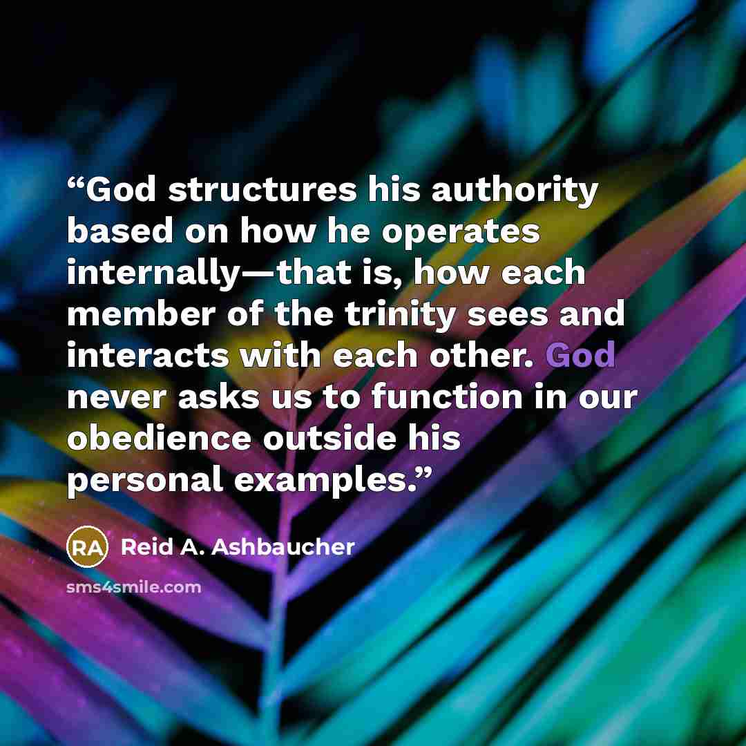 “God structures his authority based on how he operates internally—that is, how each member of the trinity sees and interacts with each other. God never asks us to function in our obedience outside his personal examples.” quote by Reid A. Ashbaucher