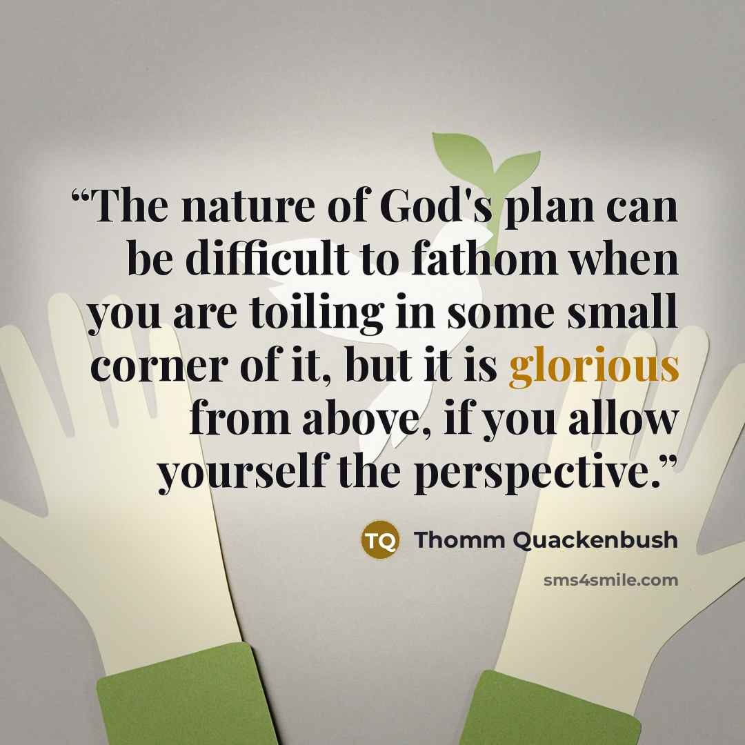 “The nature of God's plan can be difficult to fathom when you are toiling in some small corner of it, but it is glorious from above, if you allow yourself the perspective.” quote by Thomm Quackenbush