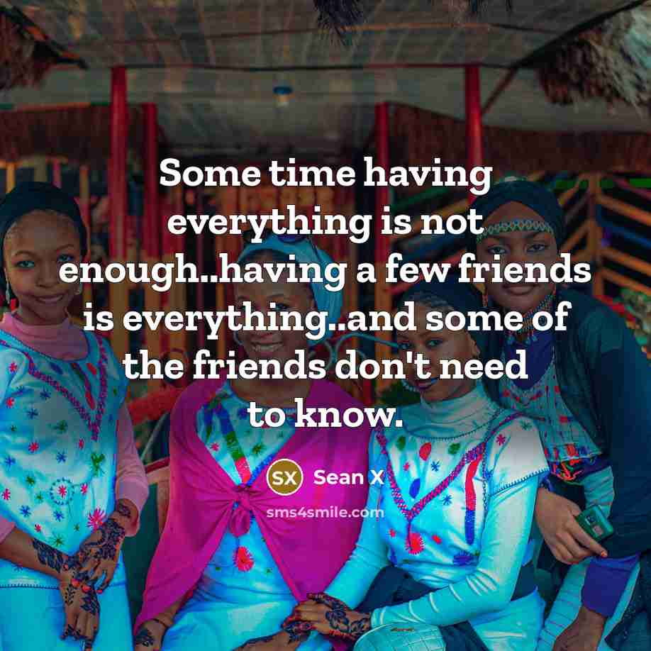 “Some time having everything is not enough..having a few friends is everything..and some of the friends don't need to know.” quote by Sean X