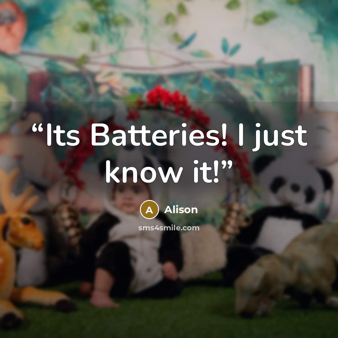 “Its Batteries! I just know it!” quote by Alison
