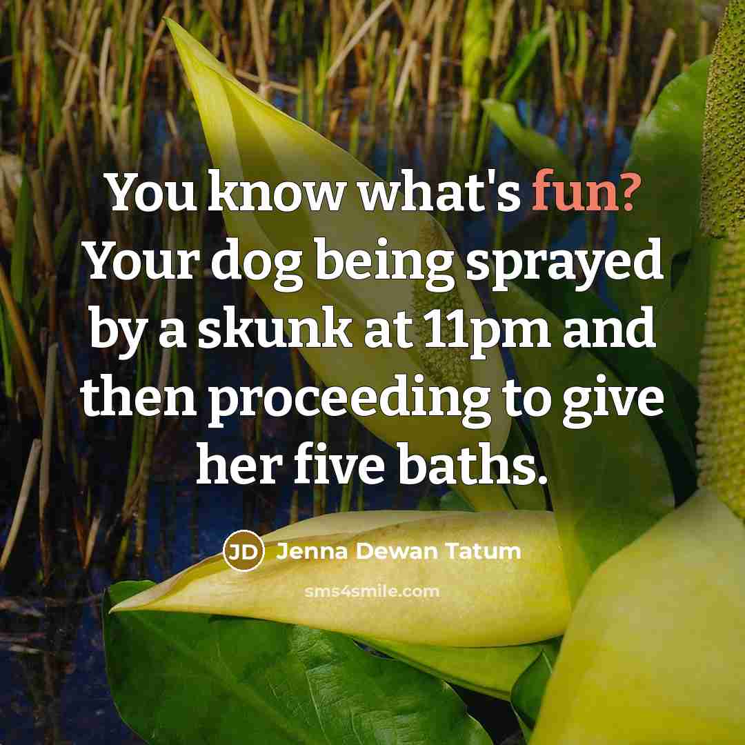 “You know what's fun? Your dog being sprayed by a skunk at 11pm and then proceeding to give her five baths.” quote by Jenna Dewan Tatum
