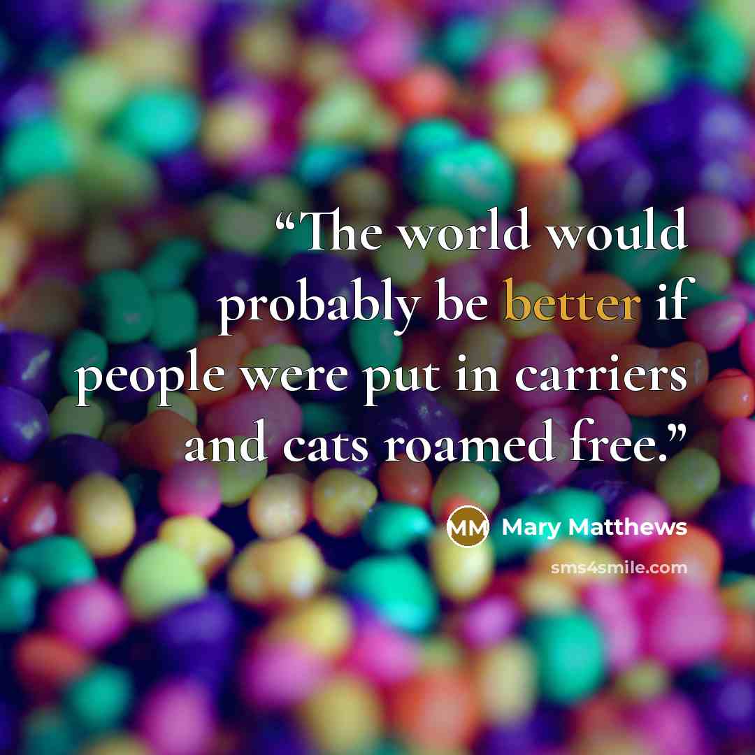 “The world would probably be better if people were put in carriers and cats roamed free.” quote by Mary Matthews