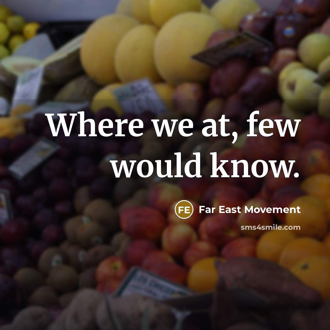 “Where we at, few would know.” quote by Far East Movement