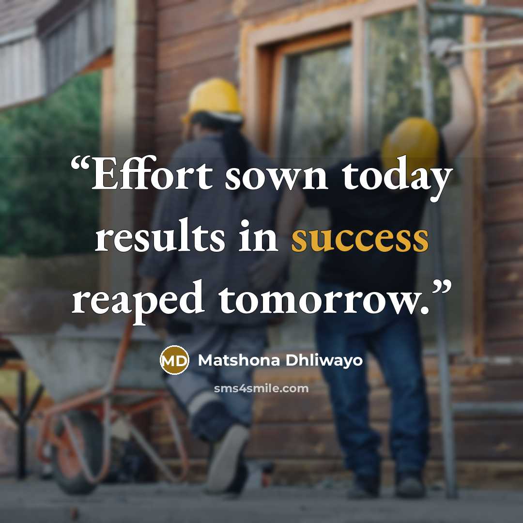 “Effort sown today results in success reaped tomorrow.” quote by Matshona Dhliwayo