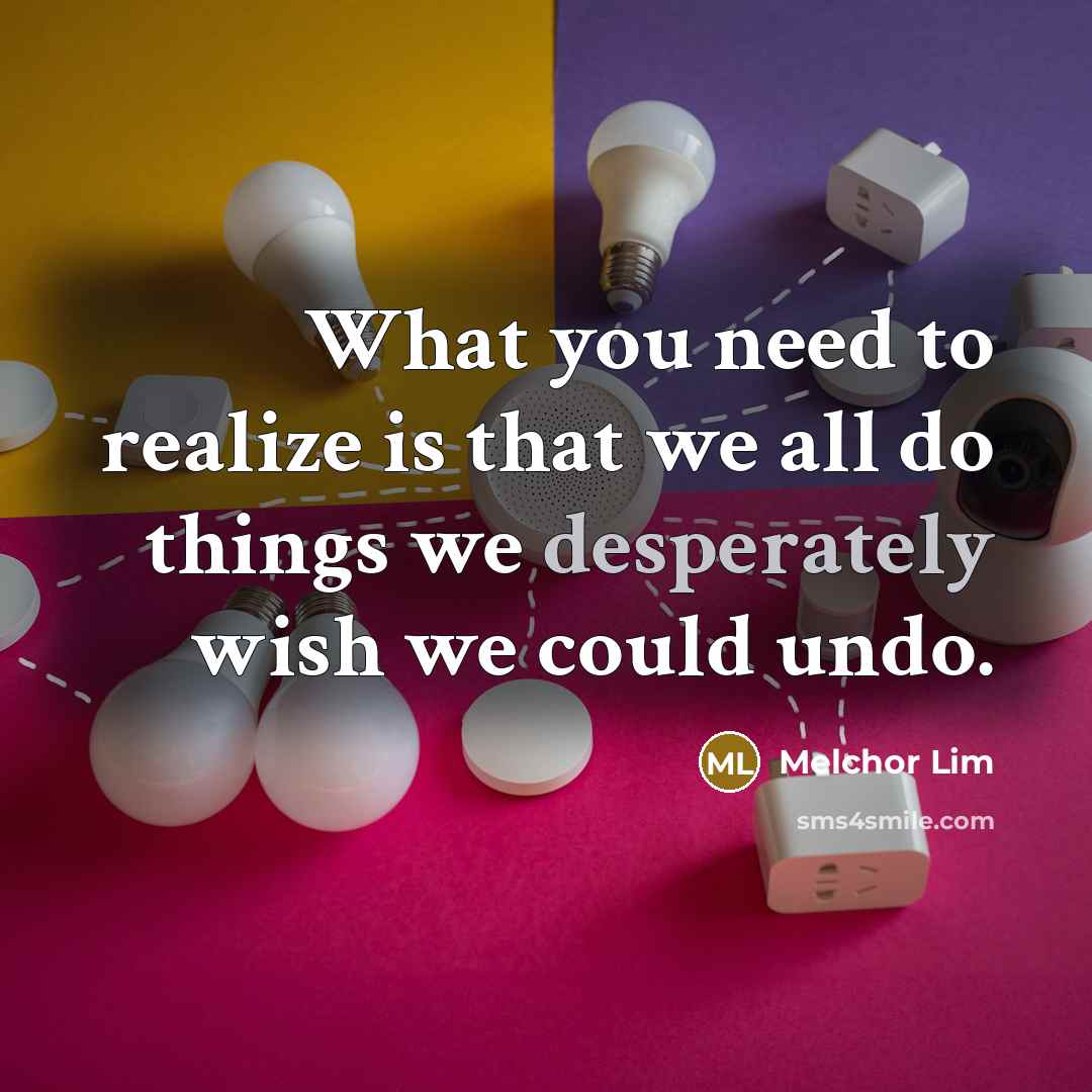 “What you need to realize is that we all do things we desperately wish we could undo.” quote by Melchor Lim