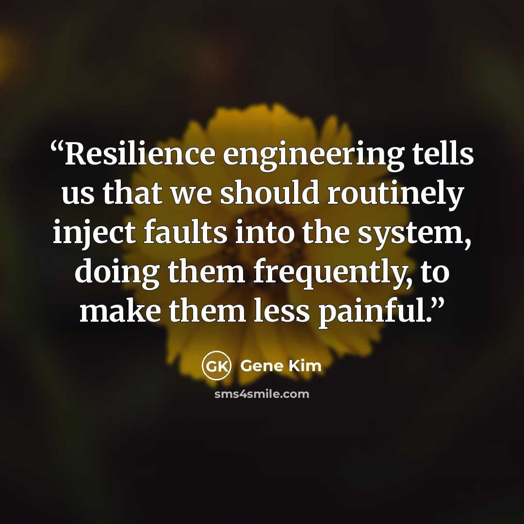 “Resilience engineering tells us that we should routinely inject faults into the system, doing them frequently, to make them less painful.” quote by Gene Kim
