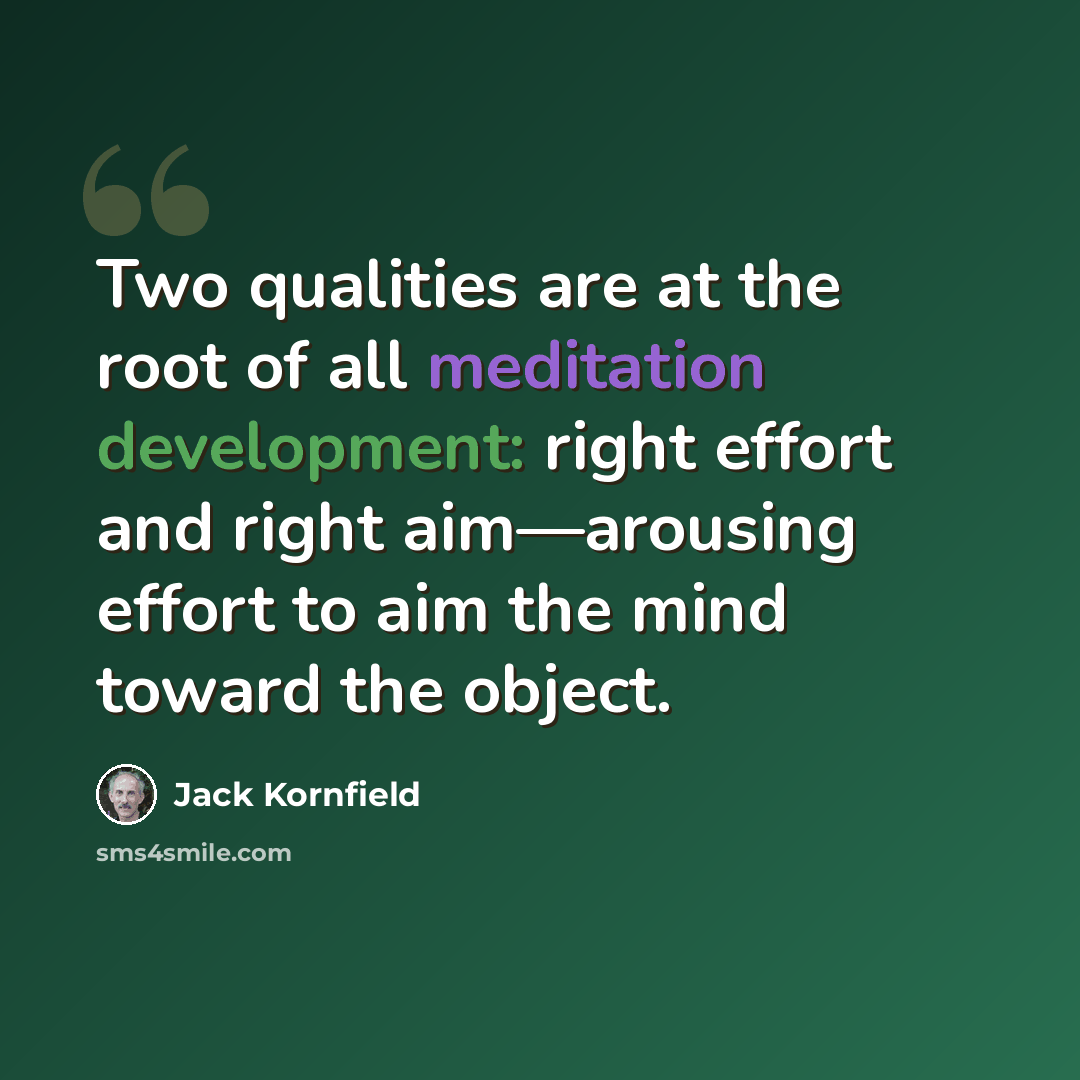 “Two qualities are at the root of all meditation development: right effort and right aim—arousing effort to aim the mind toward the object.” quote by Jack Kornfield