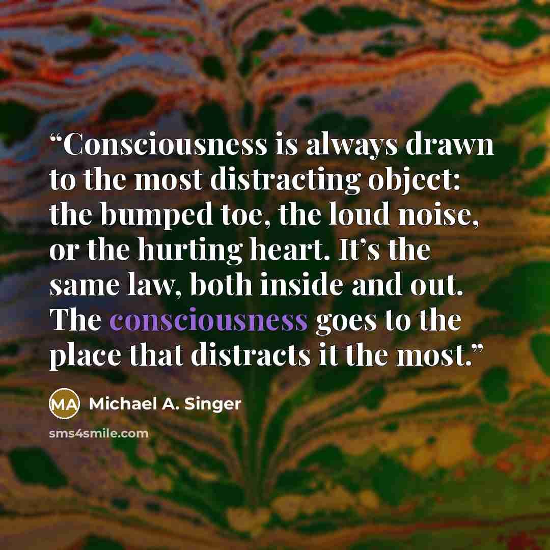 “Consciousness is always drawn to the most distracting object: the bumped toe, the loud noise, or the hurting heart. It’s the same law, both inside and out. The consciousness goes to the place that distracts it the most.” quote by Michael A. Singer