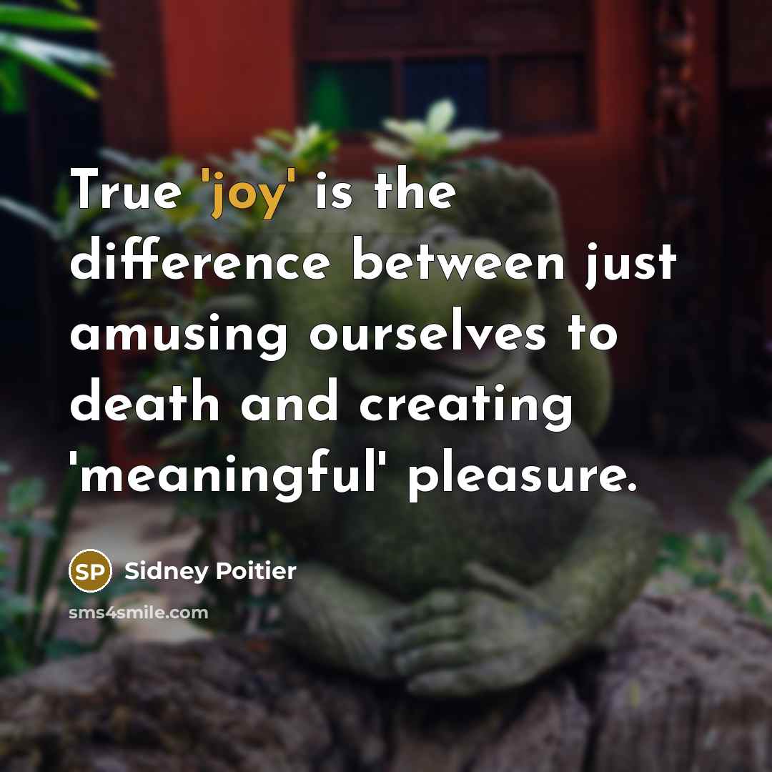 “True 'joy' is the difference between just amusing ourselves to death and creating 'meaningful' pleasure.” quote by Sidney Poitier