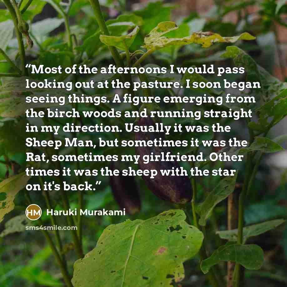“Most of the afternoons I would pass looking out at the pasture. I soon began seeing things. A figure emerging from the birch woods and running straight in my direction. Usually it was the Sheep Man, but sometimes it was the Rat, sometimes my girlfriend. Other times it was the sheep with the star…” quote by Haruki Murakami
