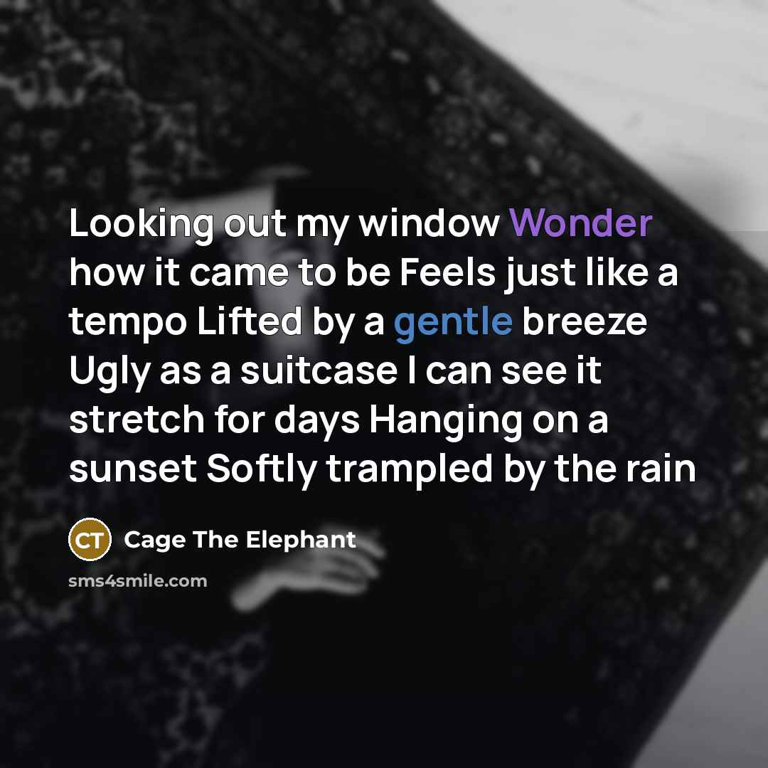 “Looking out my window Wonder how it came to be Feels just like a tempo Lifted by a gentle breeze Ugly as a suitcase I can see it stretch for days Hanging on a sunset Softly trampled by the rain” quote by Cage The Elephant