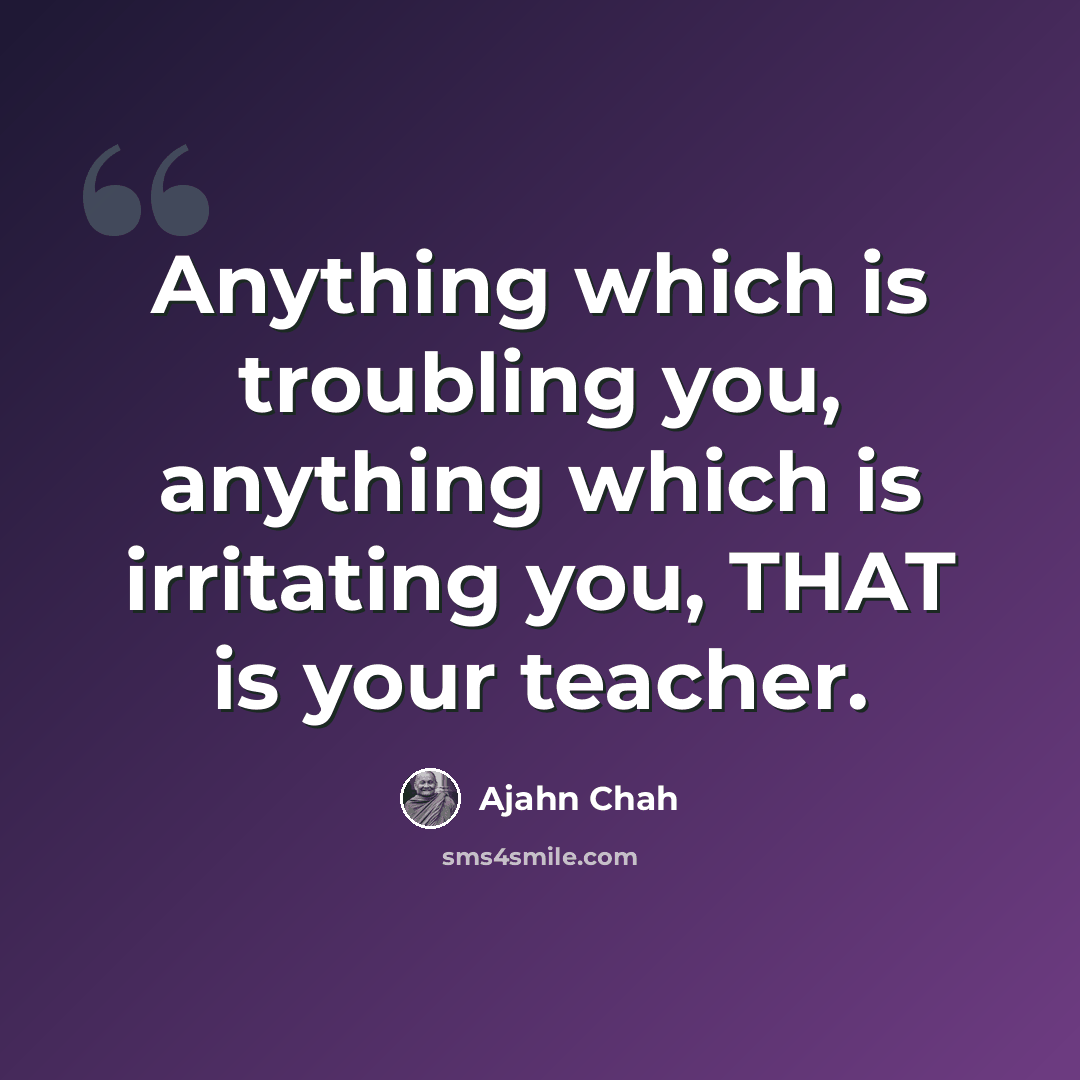 “Anything which is troubling you, anything which is irritating you, THAT is your teacher.” quote by Ajahn Chah