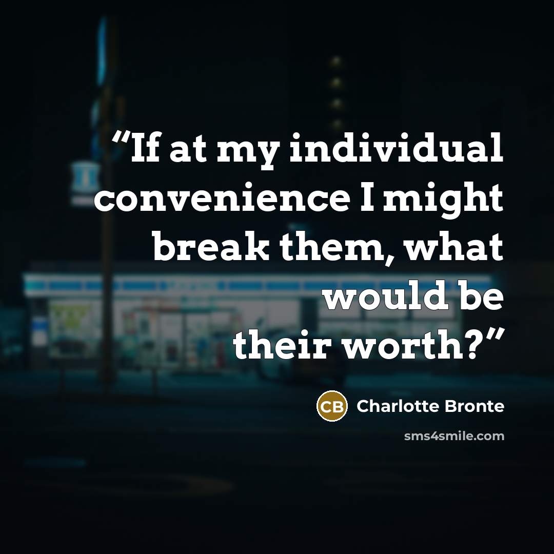 “If at my individual convenience I might break them, what would be their worth?” quote by Charlotte Brontë