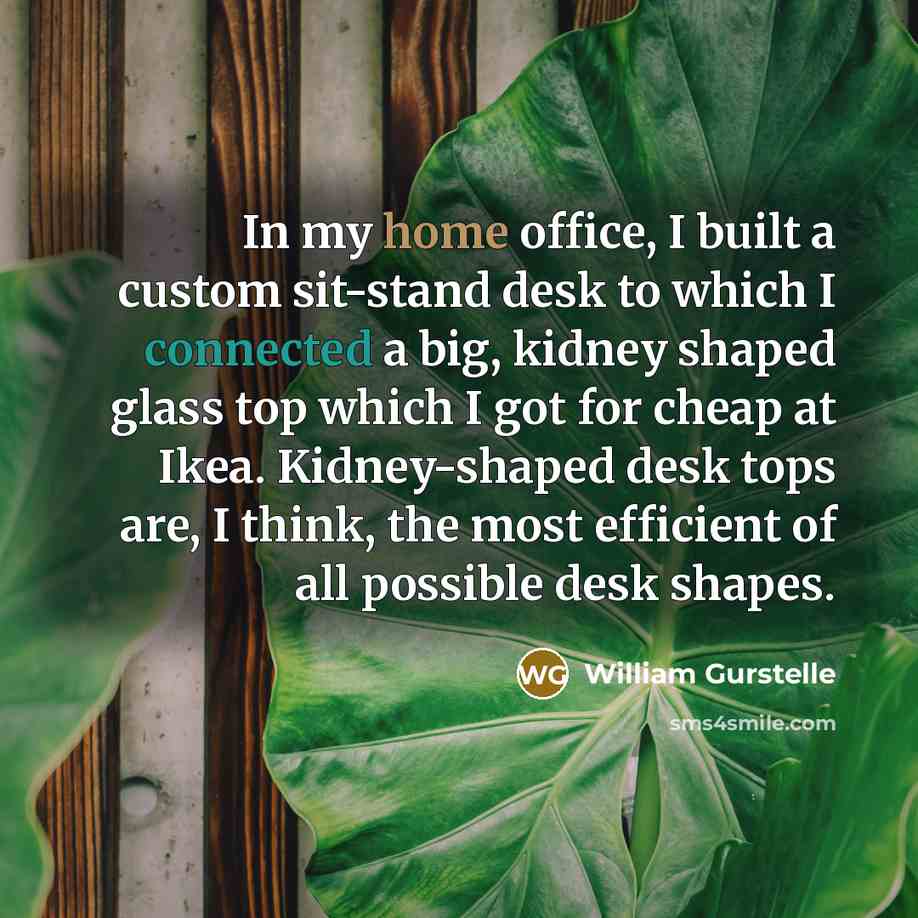 “In my home office, I built a custom sit-stand desk to which I connected a big, kidney shaped glass top which I got for cheap at Ikea. Kidney-shaped desk tops are, I think, the most efficient of all possible desk shapes.” quote by William Gurstelle
