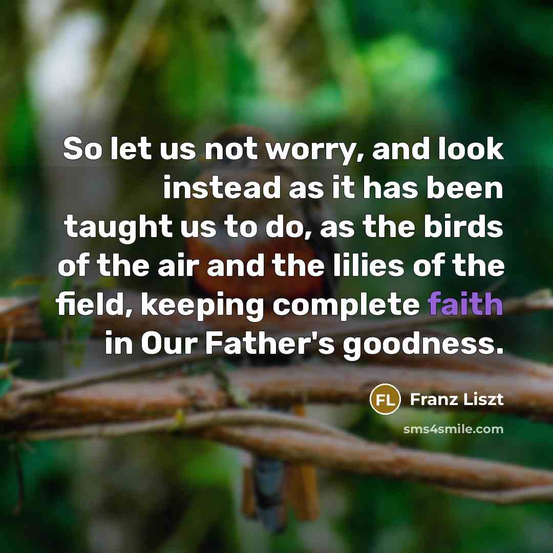 “So let us not worry, and look instead as it has been taught us to do, as the birds of the air and the lilies of the field, keeping complete faith in Our Father's goodness.” quote by Franz Liszt