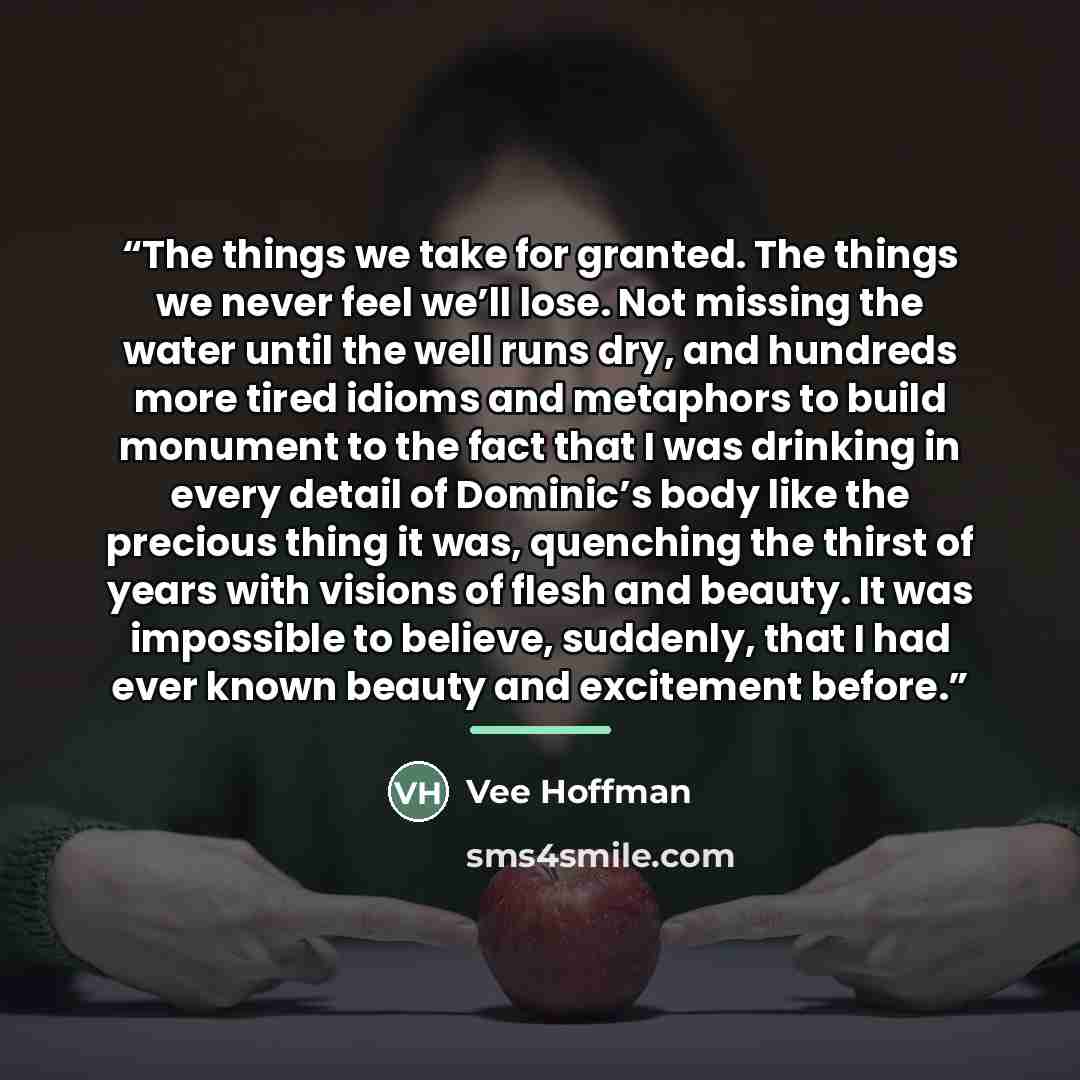 “The things we take for granted. The things we never feel we’ll lose. Not missing the water until the well runs dry, and hundreds more tired idioms and metaphors to build monument to the fact that I was drinking in every detail of Dominic’s body like the precious thing it was, quenching the thirst…” quote by Vee Hoffman