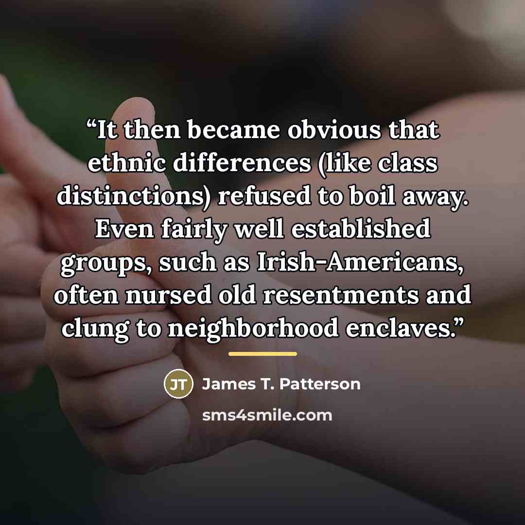 “It then became obvious that ethnic differences (like class distinctions) refused to boil away. Even fairly well established groups, such as Irish-Americans, often nursed old resentments and clung to neighborhood enclaves.” quote by James T. Patterson