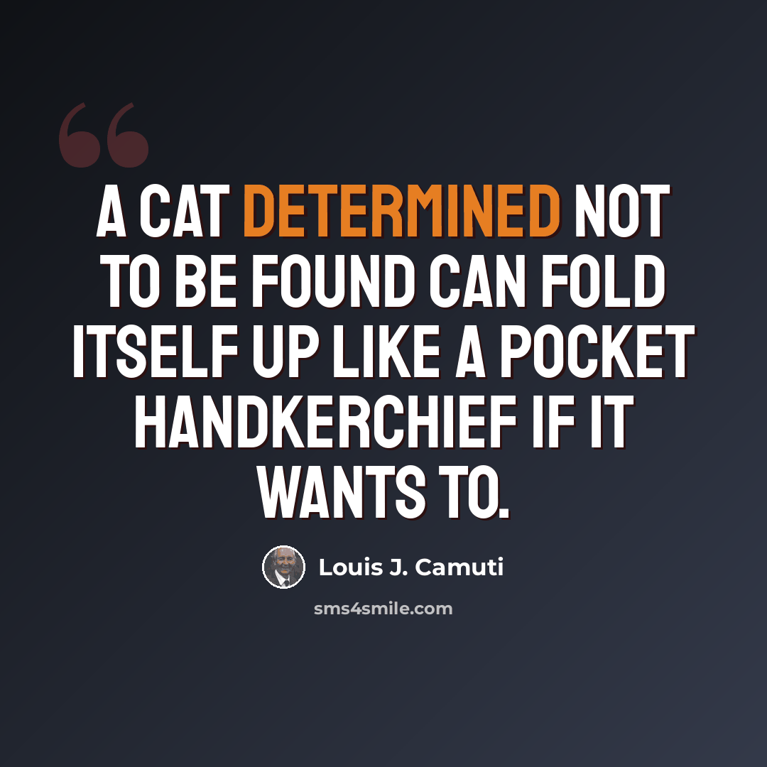 “A cat determined not to be found can fold itself up like a pocket handkerchief if it wants to.” quote by Louis J. Camuti