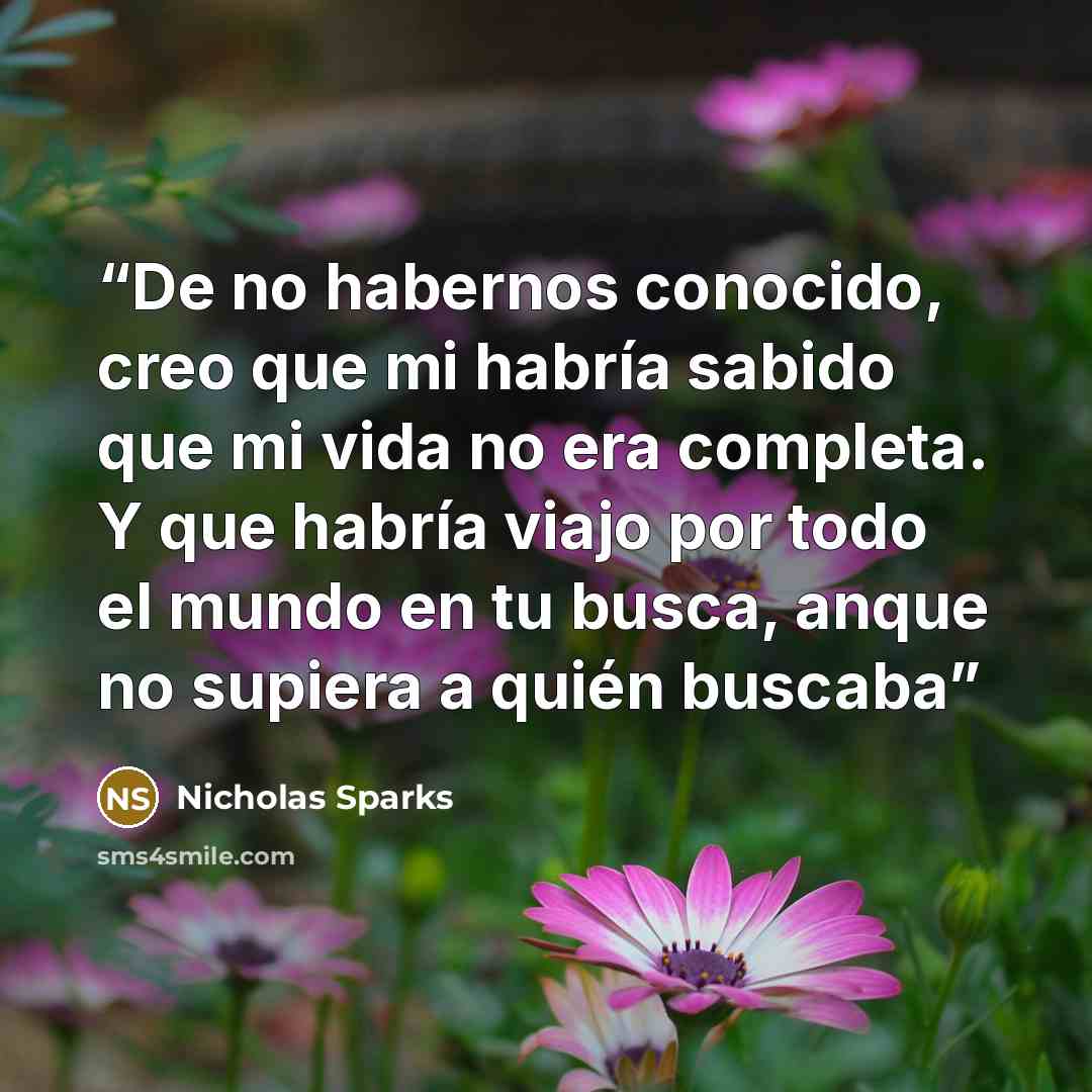 “De no habernos conocido, creo que mi habría sabido que mi vida no era completa. Y que habría viajo por todo el mundo en tu busca, anque no supiera a quién buscaba” quote by Nicholas Sparks