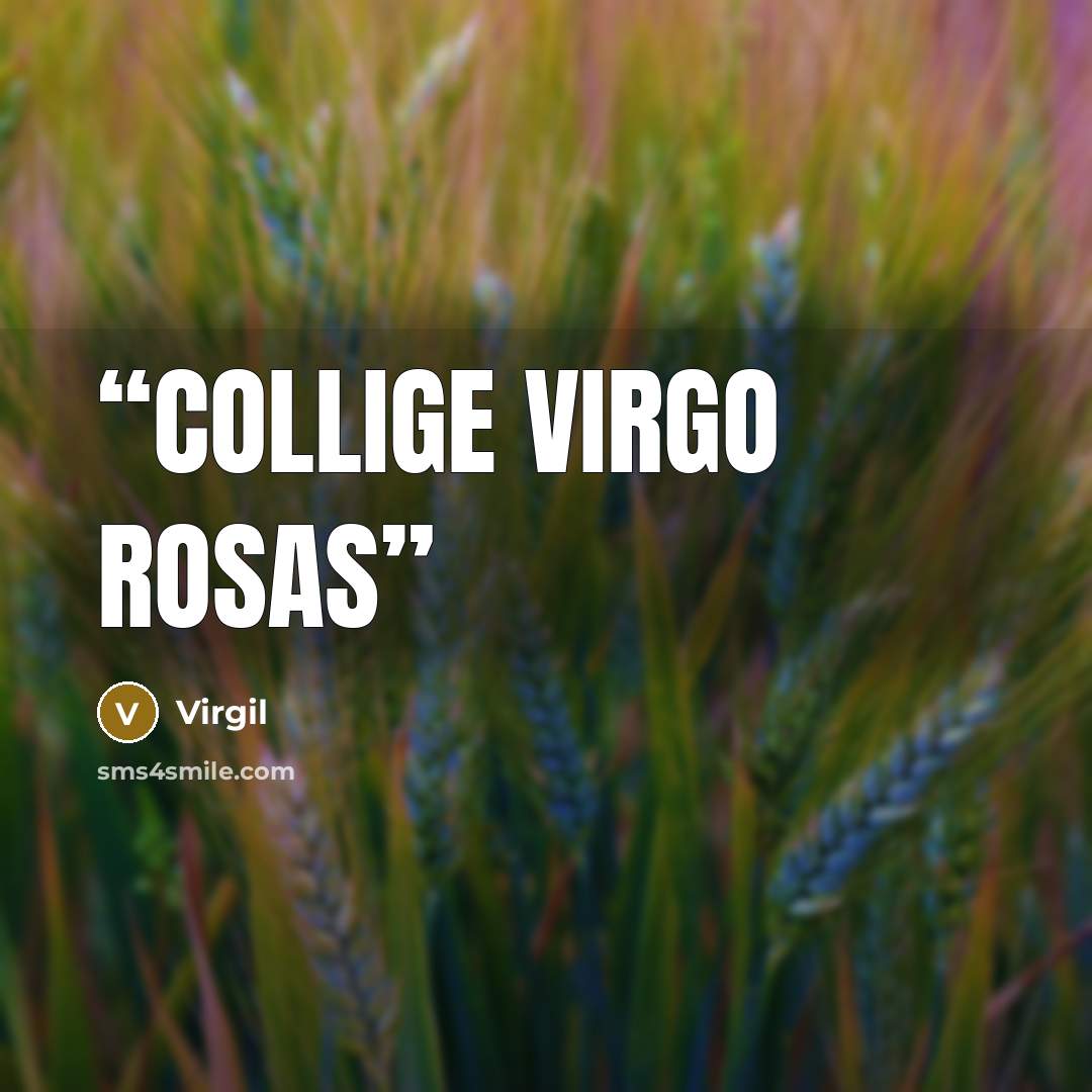 “Collige Virgo Rosas” quote by Virgil
