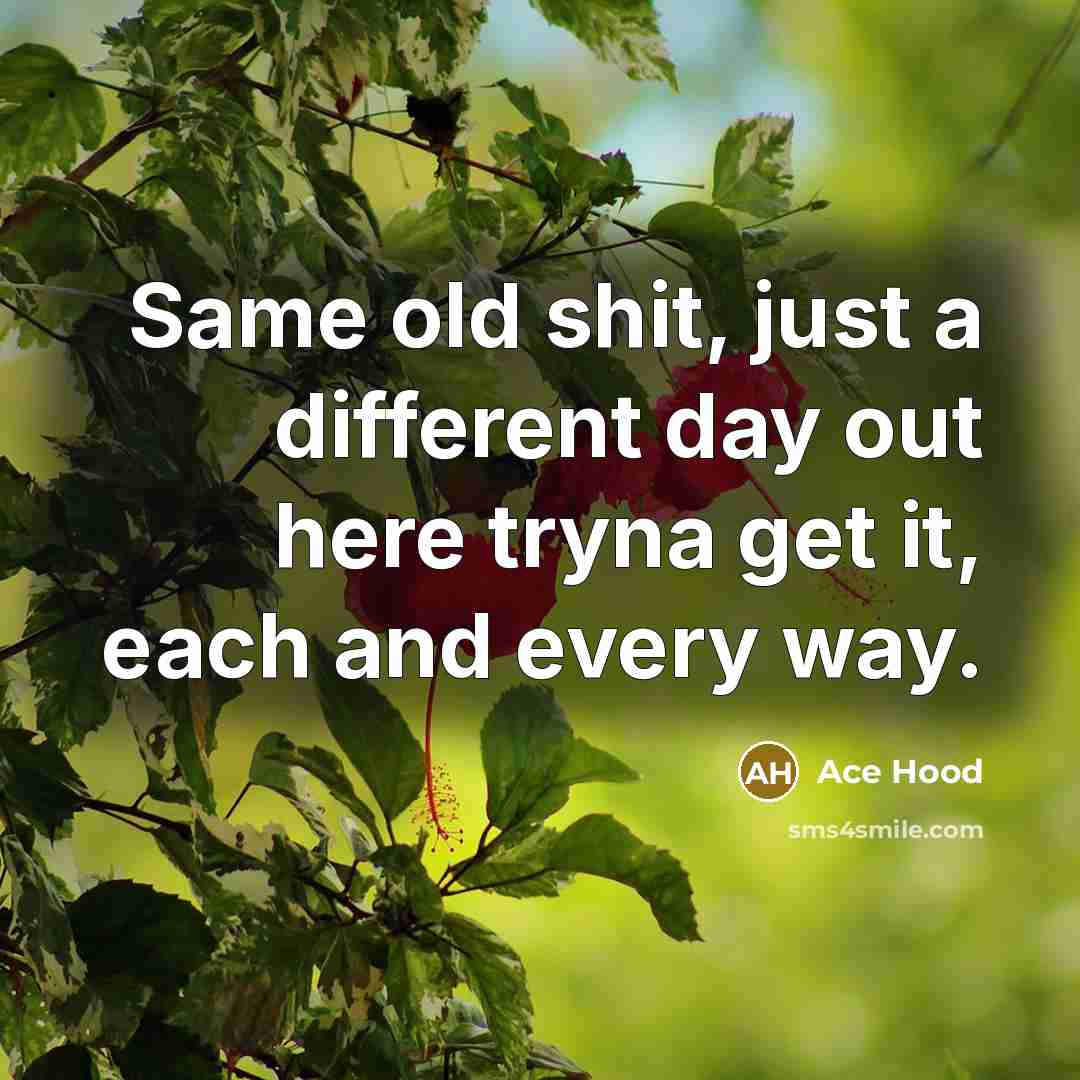 “Same old shit, just a different day out here tryna get it, each and every way.” quote by Ace Hood