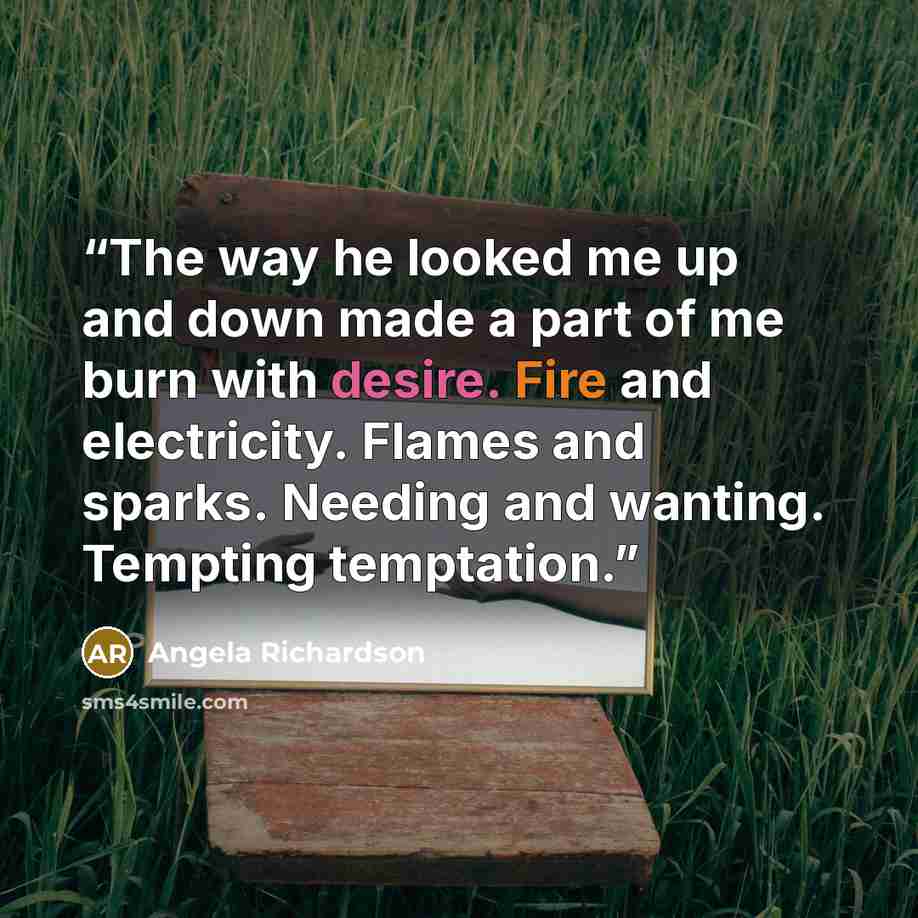 “The way he looked me up and down made a part of me burn with desire. Fire and electricity. Flames and sparks. Needing and wanting. Tempting temptation.” quote by Angela Richardson
