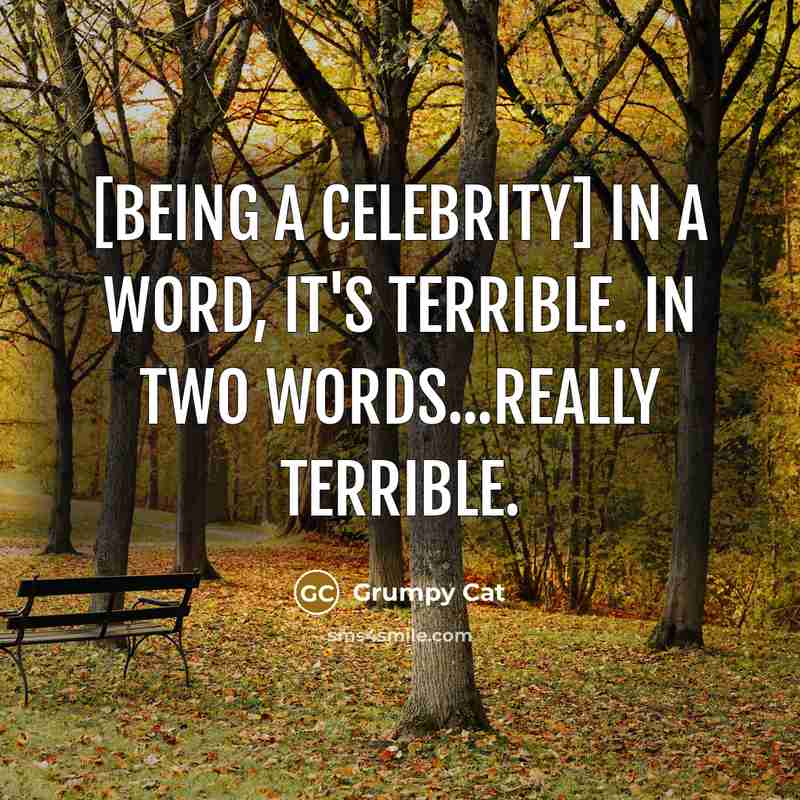 “[Being a celebrity] In a word, it's terrible. In two words...Really terrible.” quote by Grumpy Cat