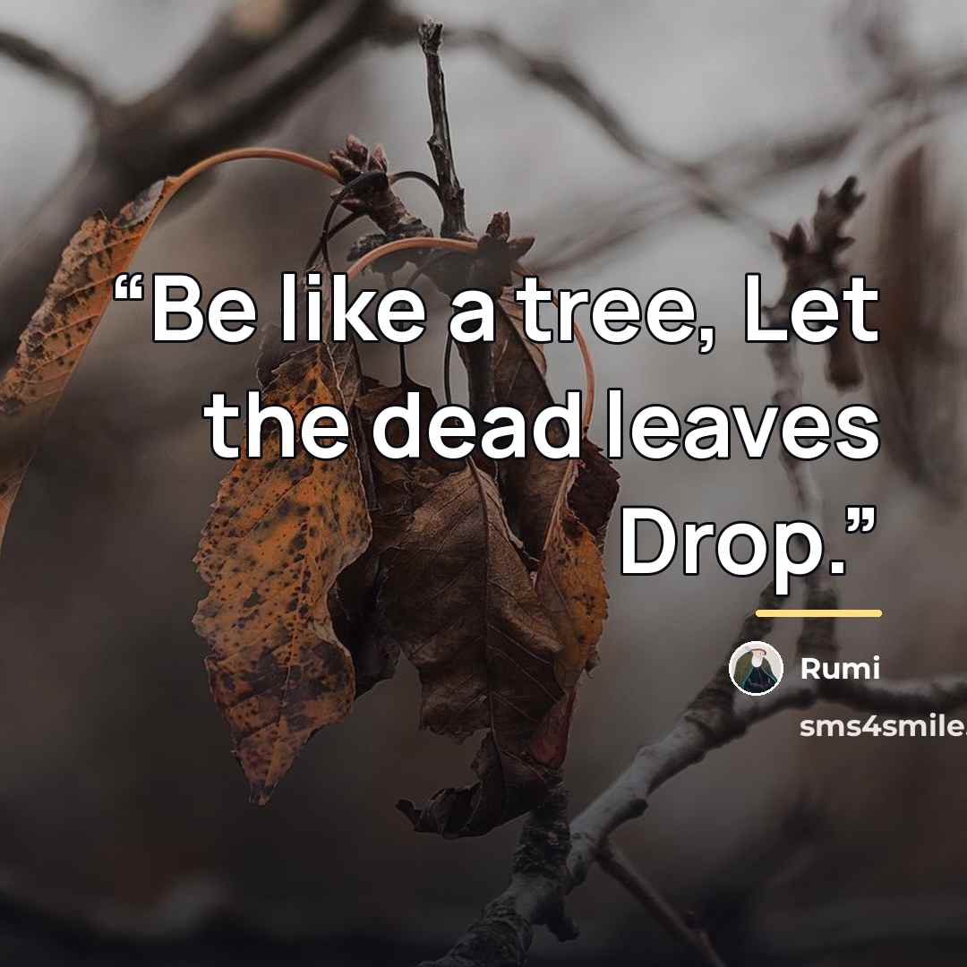 “Be like a tree, Let the dead leaves Drop.” quote by Rumi