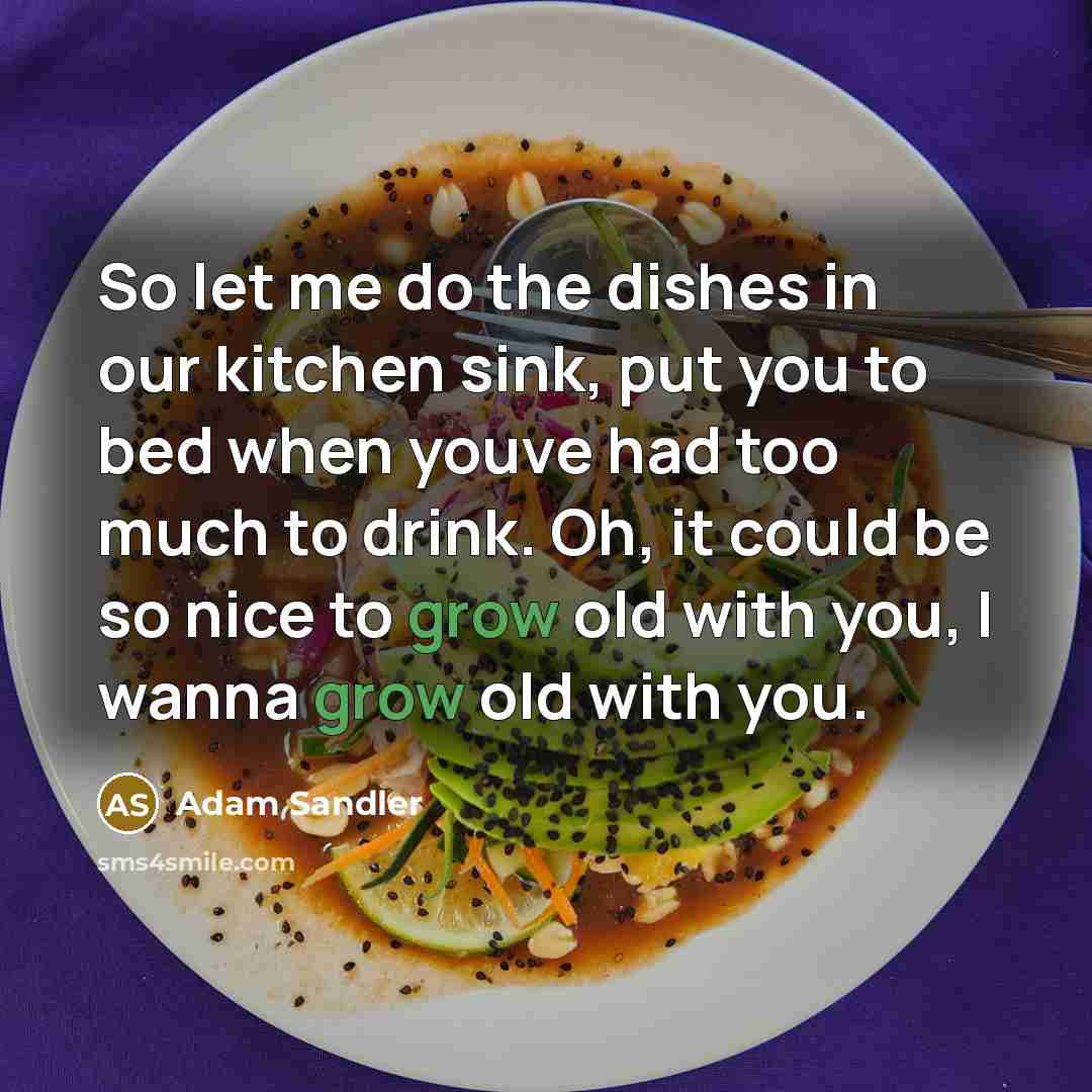 “So let me do the dishes in our kitchen sink, put you to bed when youve had too much to drink. Oh, it could be so nice to grow old with you, I wanna grow old with you.” quote by Adam Sandler