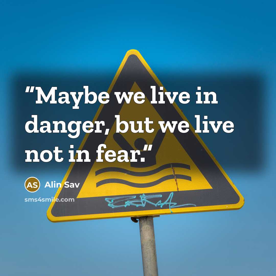“Maybe we live in danger, but we live not in fear.” quote by Alin Sav